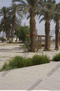 Photo Texture of Landscape Dendera 0138